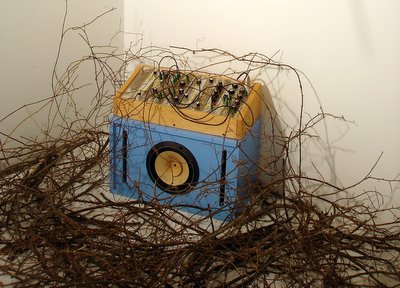 Photo of one of Jessica Rylan's natural synthesizer in the branches